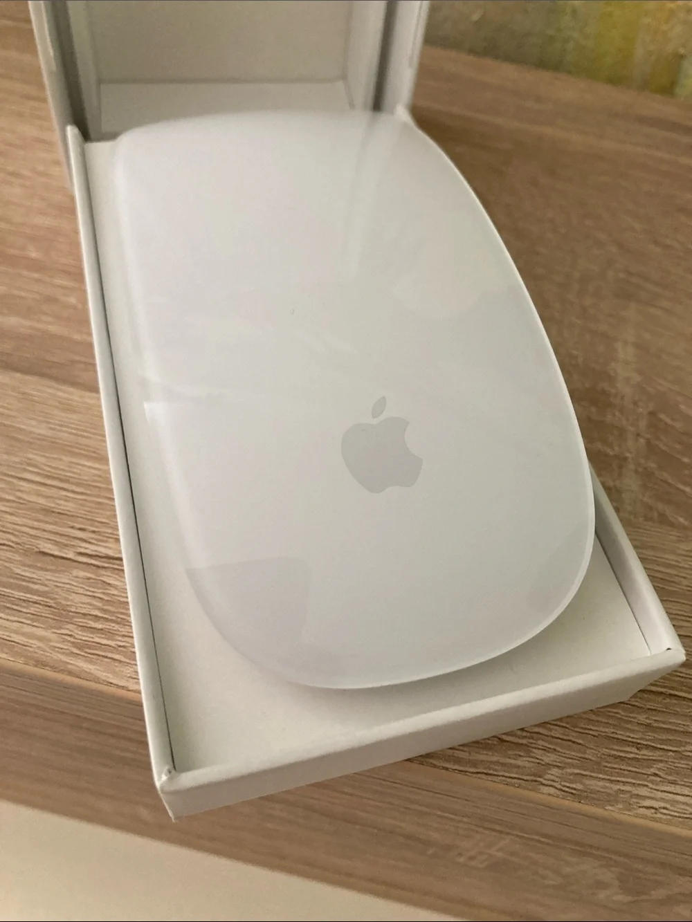 Apple Magic Mouse in White and Silver